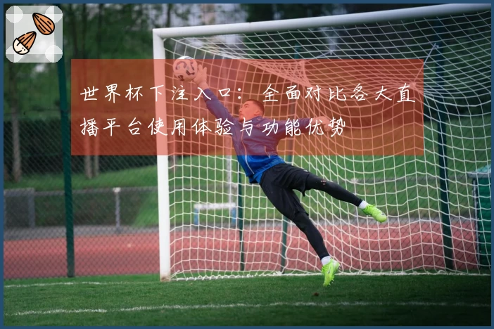 世界杯下注入口：全面对比各大直播平台使用体验与功能优势
