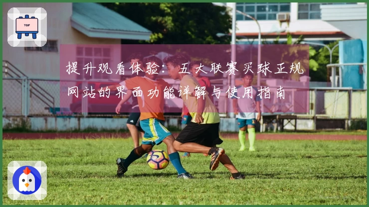 提升观看体验：五大联赛买球正规网站的界面功能详解与使用指南