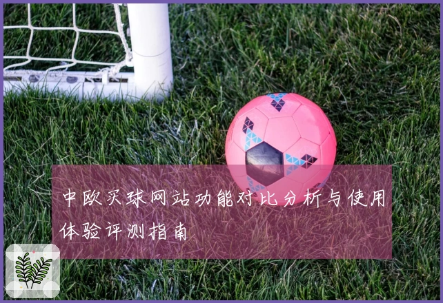 中欧买球网站功能对比分析与使用体验评测指南
